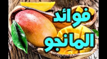 "ملكة الفواكه".. أكثري من تناول المانجو لتحصلي على كنز من الفوائد الصحية التي لا حصر لها