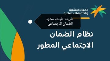 طريقة طباعة مشهد الضمان