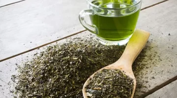 الشاي الأخضر يحسن الذاكرة ويحمي القلب..  تعرف على فوائد وأضرار الشاي الأخضر