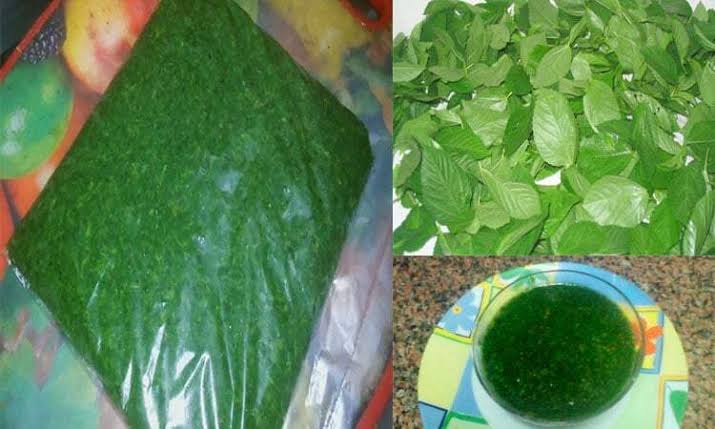 طريقة تخزين الملوخية خضراء فى الفريزر