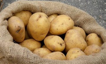 احذر وفاة أسرة بسبب طهي البطاطس بهذه الطريقة تعرف على السبب قبل فوات الأوان