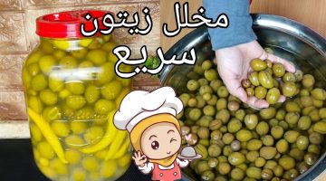 بدون مراره مخلل الزيتون السريع حضريه في 5 أيام بطريقه الشركات والمصانع