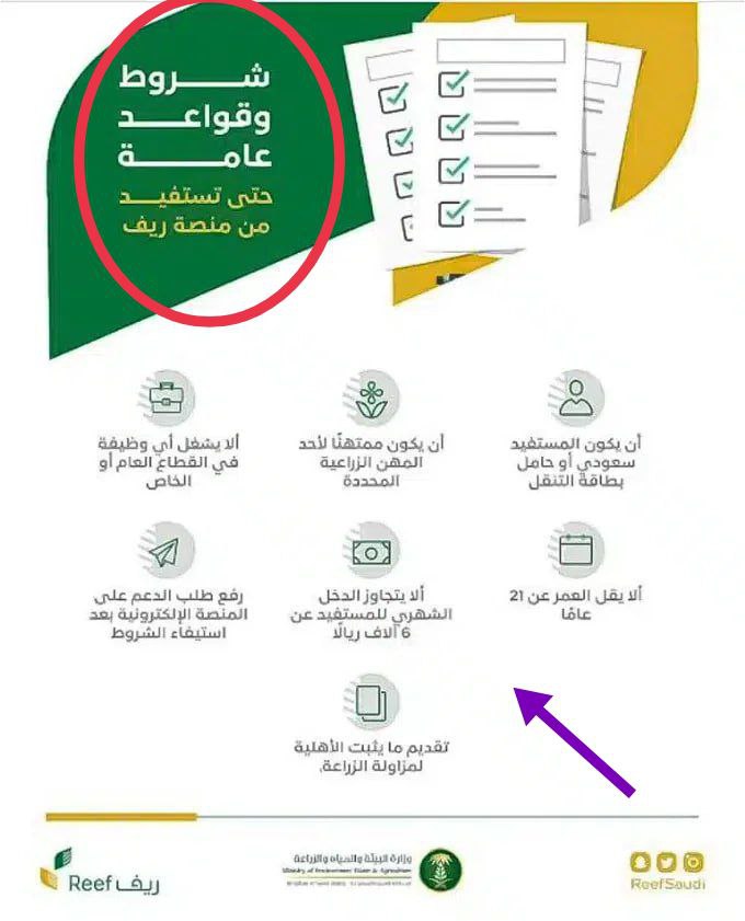 كم مبلغ دعم ريف للعاطلين والشروط المطلوبة ؟