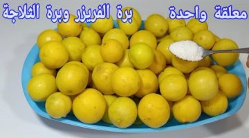 هيفضل من السنه للسنه... تخزين الليمون بطريقه المصانع وسر الخلطة مش هتبطلى تعمليه