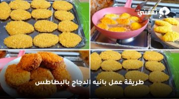 أولادك هيعشقوا الدجاج بهذه الطريقة أكلة لذيذة واقتصادية توفير يعني توفير