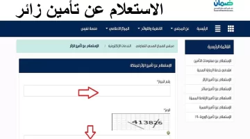 الاستعلام عن تامين زائر