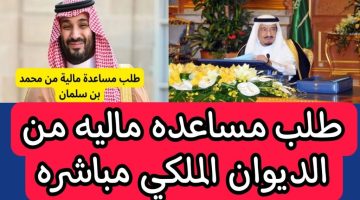 الشروط الجديدة للحصول على مساعدة مالية فورية من الديوان الملكي السعودي 1445