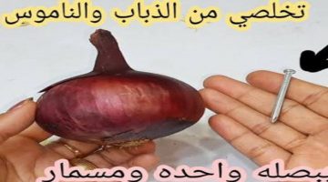 التخلص من الصراصير