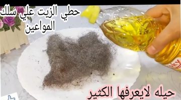 تنظيف البوتاجاز وحوائط المطبخ