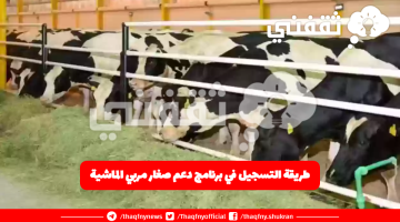 طريقة التسجيل في برنامج دعم صغار مربي الماشية