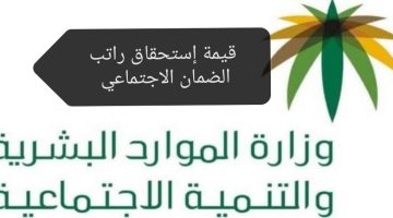 قيمة إستحقاق راتب الضمان