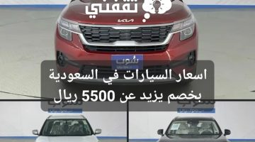 اسعار السيارات