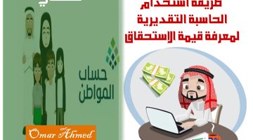 الحاسبة التقديرية