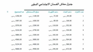 زيادة الضمان للفرد الواحد