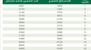 حسبت الضمان المطور