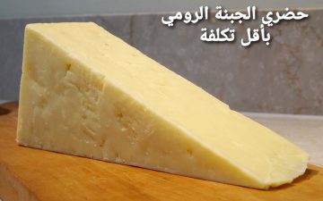 اعمليها لولادك للمدارس.. طريقة عمل الجبنة الرومي في البيت بكل أسرارها وبطعم لا يقاوم