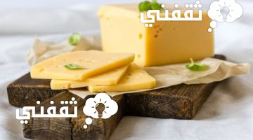 طريقة عمل الجبنة الرومي