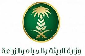 "وزارة البيئة والمياه الزراعية" توضح تسجيل دخول الدعم الريفي للنساء 1445 reef.gov.sa في السعودية