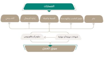 طريقة توزيع الدرجات في نظام المسارات