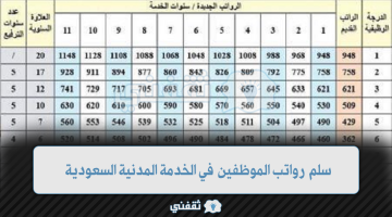 كم سلم رواتب الموظفين في الخدمة المدنية السعودية 1445