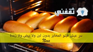 سر عيش فينو المخابز