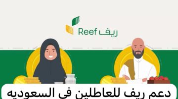 الفئات المستحقة لدعم ريف