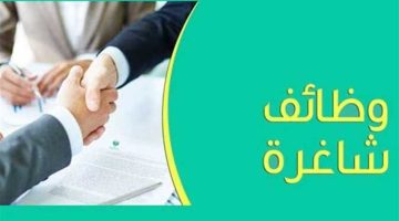 التقديم على فرص العمل الشاغرة بجامعة الإسكندرية الآن