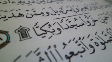 آيات السجود في القرآن الكريم