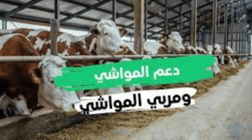 ما هي خطوات الاستعلام عن دعم مربي المواشي إلكترونيًا؟