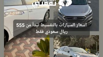 اسعار السيارات