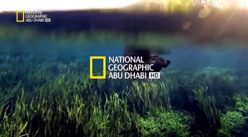 أستقبل الأن.. تردد قناة ناشيونال جيوغرافيك National Geographic لمتابعة أقوي البرامج حول العالم