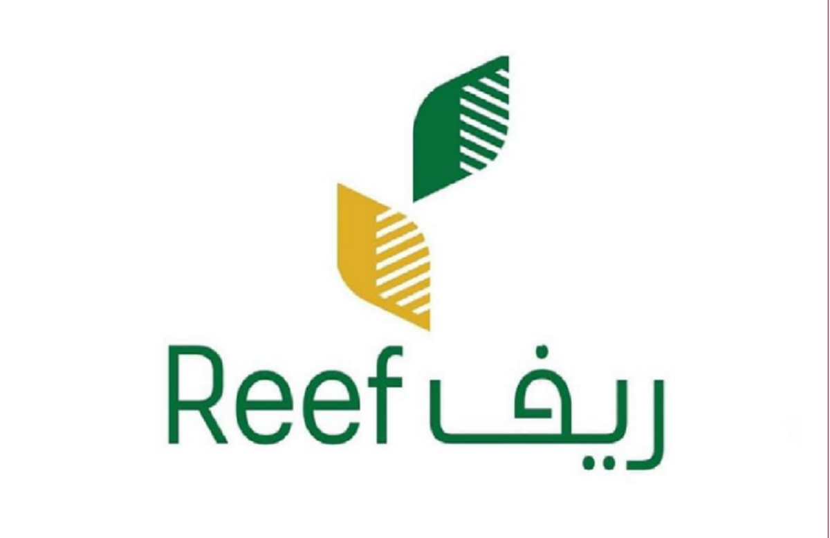 دعم ريف