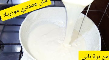 طريقة عمل الجبنة الموتزريلا
