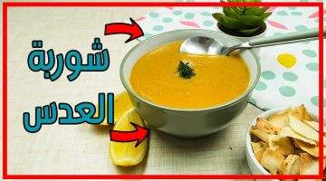 عمل شوربة العدس المصرية