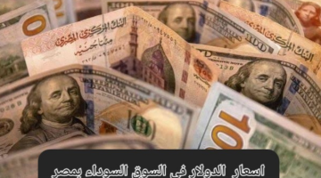 سعر الدولار بالنسبة للجنيه المصري