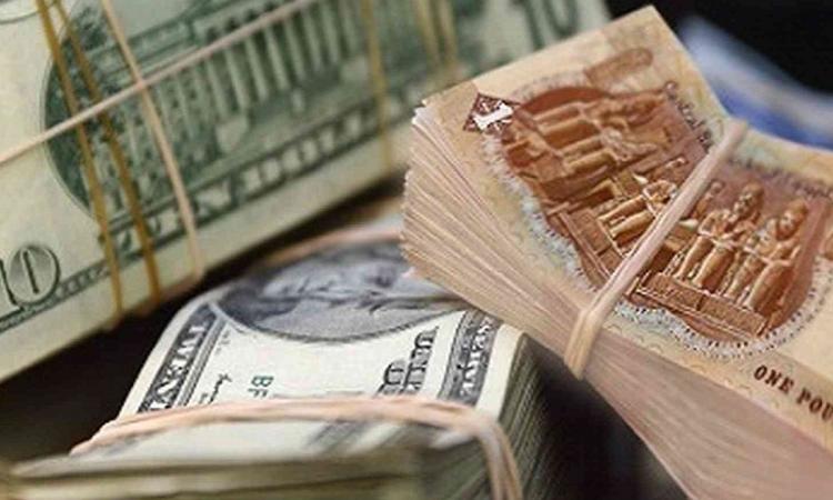 سعر الدولار بالنسبة للجنيه المصري