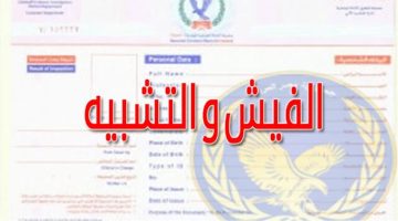 5 شروط استخراج فيش جنائي إلكتروني من موقع وزارة الداخلية
