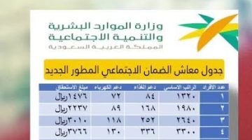 سلم رواتب الضمان الاجتماعي المطور