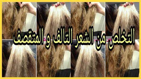 علاج الشعر التالف