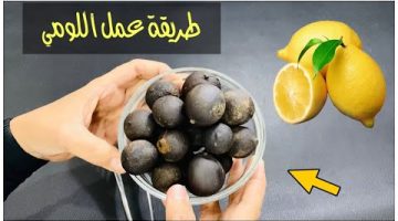 خليكى ناصحة واعملي اللومي في البيت