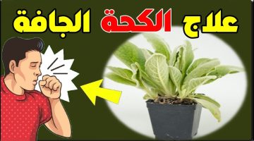 استخدم هذه الأدوية وتخلص من الكحة الجافة للأبد.