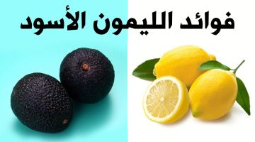 ‏ما هي فوائد الليمون الأسود للجسم