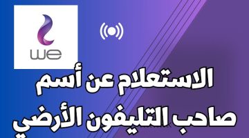 كيف تعرف اسم مالك الخط الأرضي؟