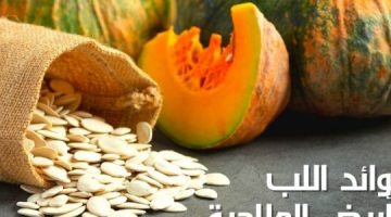 فوائد تناول اللب الأبيض لمدة 10 أيام