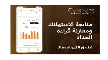 الشركة السعودية للكهرباء