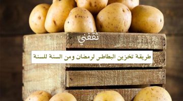 طريقة تخزين البطاطس