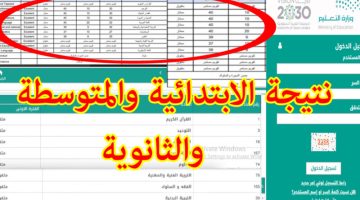 EduWave - لينك رسمي نظام نور نتائج الطلاب برقم الهوية 1445 الفصل الدراسي الثاني