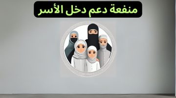 منفعة دعم دخل الأسر